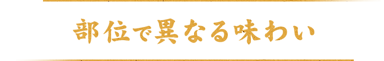 部位で異なる味わい