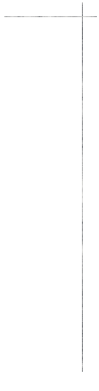 その肉質に自信あり